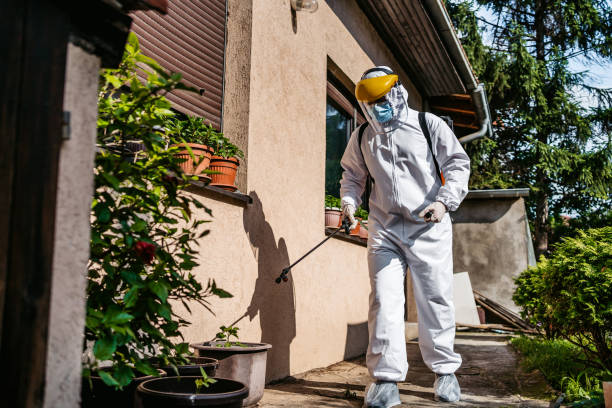 Best Mosquito Control Services  in Ten Mile Creek, MD